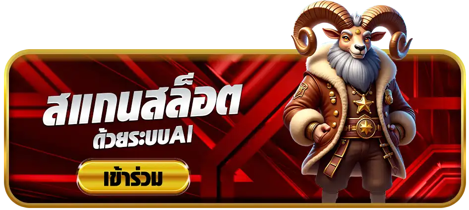 แบนเนอร์ 4